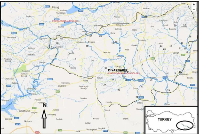 Çizelge 3.1. Diyarbakır il sınırları içerisinde balık ve amfibi öneklerinin toplandığı lokaliteler  No  Lokalite  No  Lokalite  No  Lokalite 