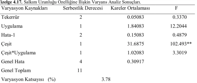 Çizelge 4.17. Salkım Uzunluğu Özelliğine İlişkin Varyans Analiz Sonuçları. 