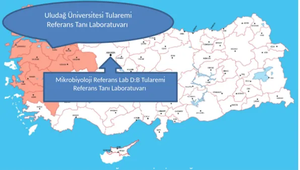 Şekil 4. Tularemi ulusal referans tanı laboratuvarları ve yetki alanları(51).