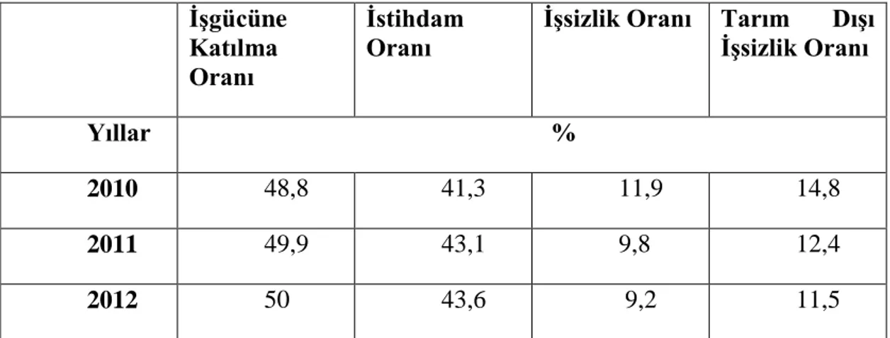 Tablo 1: Türkiye’ de Kurumsal Olmayan Nüfusun İşgücü Durumu (15+  yaş, %)  İşgücüne  Katılma  Oranı  İstihdam Oranı 