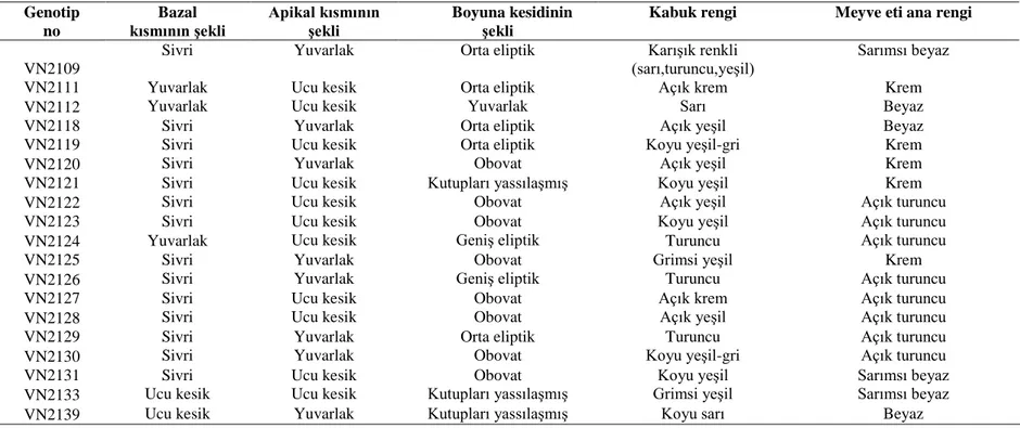 Çizelge 4.6.  Yazlık genotiplerde  meyvelerde alınan gözlemler 