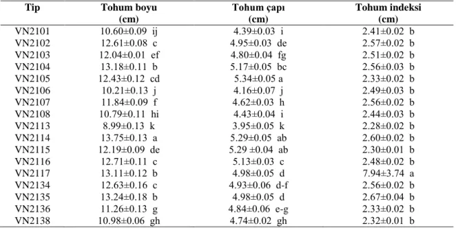 Çizelge 4.20. Kışlık genotiplerde tohumlarda yapılan ölçümler