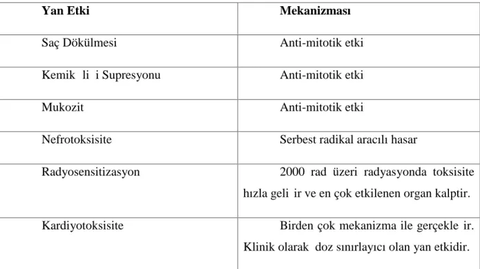 Tablo 1: Doksorubisin yan etkileri (13-16)