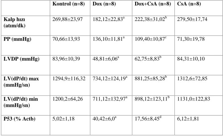 Tablo 3: Gruplara (n=8) ait kalp hızı, perfüzyon basıncı, LVDP, LV(dP/dt)max ve LV(dp/dt)min verileri