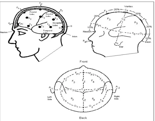 Şekil 1.1. Uluslararası 10–20 EEG elektrot yerleştirme sistemi (Acar 2010) 