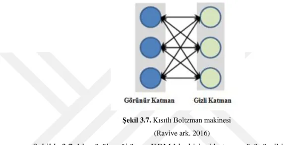 Şekil 3.7. Kısıtlı Boltzman makinesi   (Ravìve ark. 2016) 