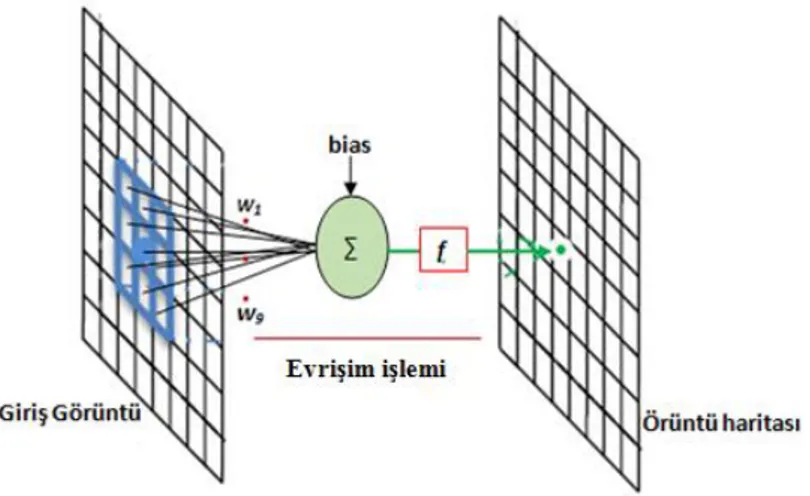 Şekil 3.12. Evrişim işleminin bir sinir hücresine uyarlanması   (Jia 2017)