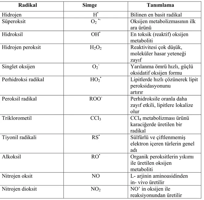 Tablo 2.1. Sık Karşılaşılan Radikaller, Simgeler ve Kimlikleri 