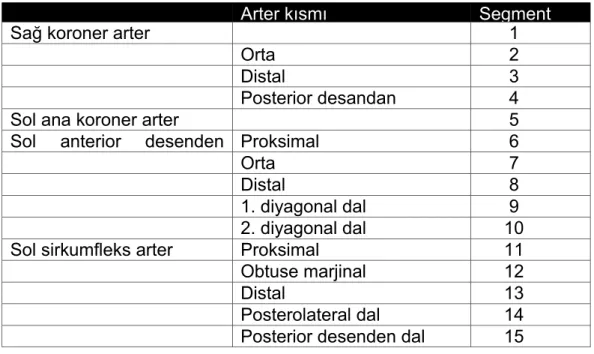 Tablo 1.1  Koroner Arter Segmentleri
