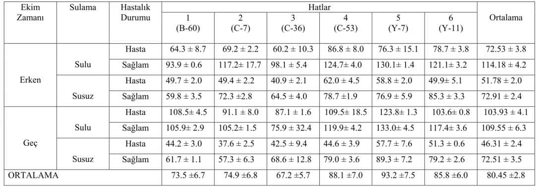 Çizelge 4. Diyarbakır’da 2006 yılında denemelerde kullanılan bazı susam hatlarının ortalama  bitki boyları (cm)  Hatlar Ekim  Zamanı  Sulama Hastalık Durumu  1  (B-60)  2  (C-7)  3  (C-36)  4  (C-53)  5  (Y-7)  6  (Y-11)  Ortalama  Hasta  64.3 ± 8.7  69.2 