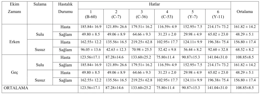 Çizelge 7. Diyarbakır’da 2006 yılında yürütülen denemede kullanılan bazı susam hatlarının tohum verimleri  (kg/da)   Hatlar Ekim  Zamanı  Sulama Hastalık Durumu  1  (B-60)  (C-7) 2  (C-36) 3  (C-53) 4  (Y-7) 5  (Y-11) 6  Ortalama  Hasta  185.84± 16.9  121.