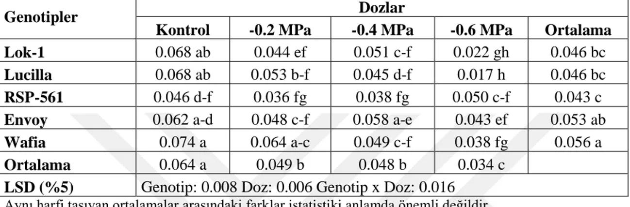 ġekil 4.4’ e bakıldığında PEG doz uygulamaları arttıkça en fazla değiĢimin Lok- Lok-1 ve  Lucilla genotiplerinde meydana  geldiği  öne çıkmıĢtır
