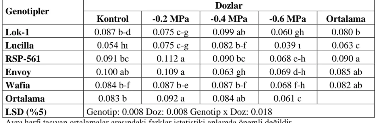 Çizelge 4.12 incelendiğinde, turgor halindeki ağırlıklarındaki değiĢimde, kontrol  koĢullarına kıyasla  -0.4  MPa uygulamasına kadar bazı  genotiplerde artıĢ  görülmüĢ ise  de -0.6 MPa PEG uygulamasında düĢtüğü görülmüĢtür