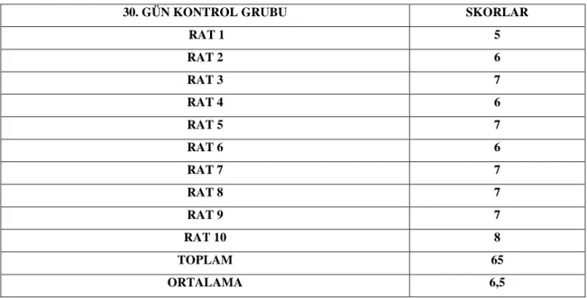 Tablo 4.6: 30 gün elektromanyetik alan uygulanan grubun Huo ve arkadaşlarının yayınladığı histolojik iyileşme skalasına göre skorları.