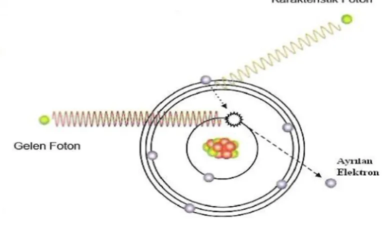 Şekil 1.3. Karakteristik X-ışını oluşumu (Tuzluca 2007) 