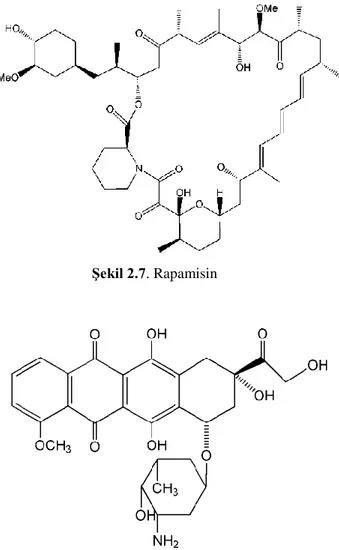 Şekil 2.6. Eritromisin 