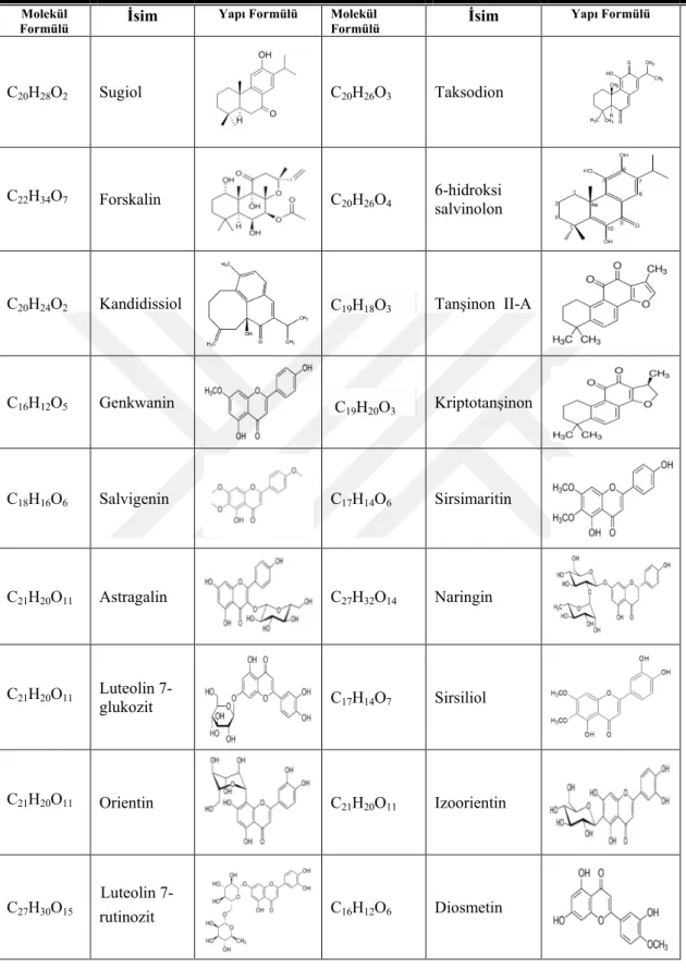 Çizelge 2. 1. Salvia türlerinden elde edilen bazı bileşiklerin molekül formülleri, isimleri ve yapı 
