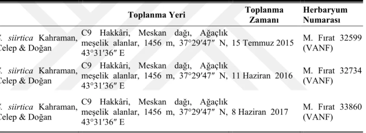 Çizelge 3. 1. S. siirtica Kahraman, Celep &amp; Doğan türünün toplanma yerleri, toplanma zamanları ve 