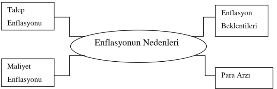 ġekil 1: Enflasyonun Nedenleri 