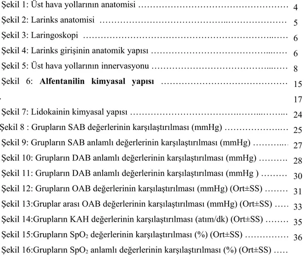 Şekil 1: Üst hava yollarının anatomisi ……………………………………………… Şekil 2: Larinks anatomisi  ……………………………………..…………………