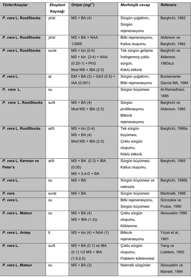 Tablo 7. Fıstık türlerinin ve anaçlarının in vitro çoğaltılması 