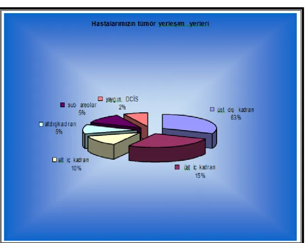 Grafik 2: Hastaların tümör dağılımı