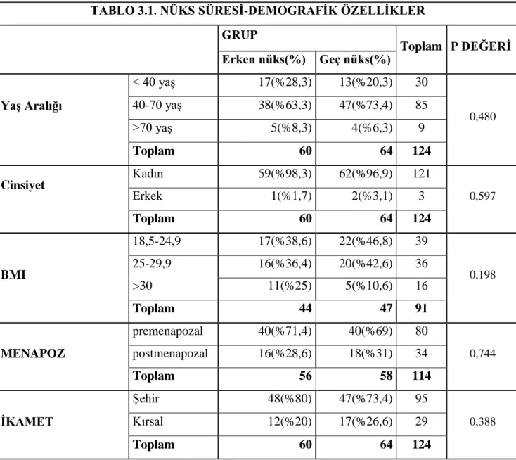TABLO 3.1. NÜKS SÜRESĠ-DEMOGRAFĠK ÖZELLĠKLER 