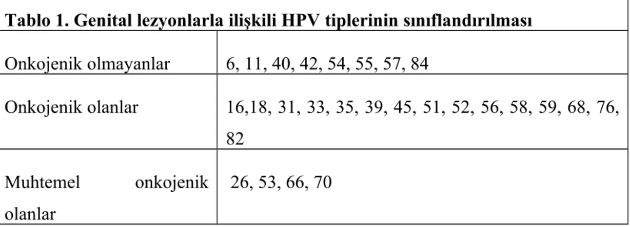 Tablo 1. Genital lezyonlarla ilişkili HPV tiplerinin sınıflandırılması Onkojenik olmayanlar 6, 11, 40, 42, 54, 55, 57, 84 Onkojenik olanlar 16,18, 31, 33, 35, 39, 45, 51, 52, 56, 58, 59, 68, 76, 82 Muhtemel onkojenik olanlar  26, 53, 66, 70