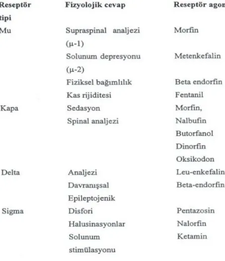Tablo 2. Opioid reseptörleri ve etkileri (74).