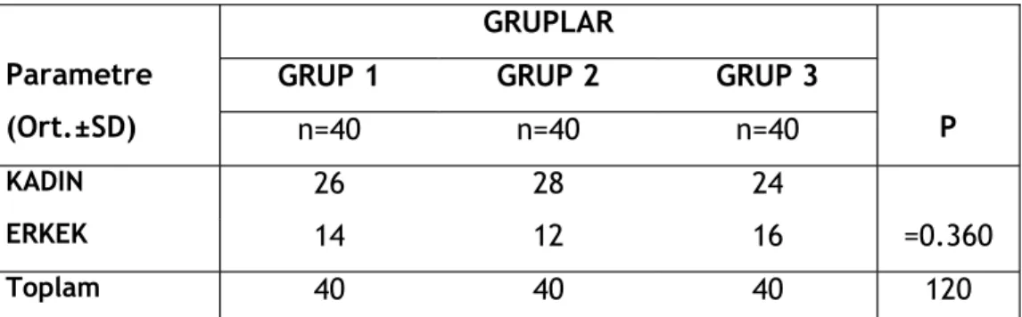 Tablo 6. Gruplardaki cinsiyet dağılımı. GRUPLAR