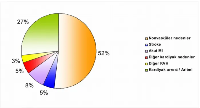 Şekil 1: Diyaliz hastalarında ölüm nedenleri ( Data from USRDS,2005 )