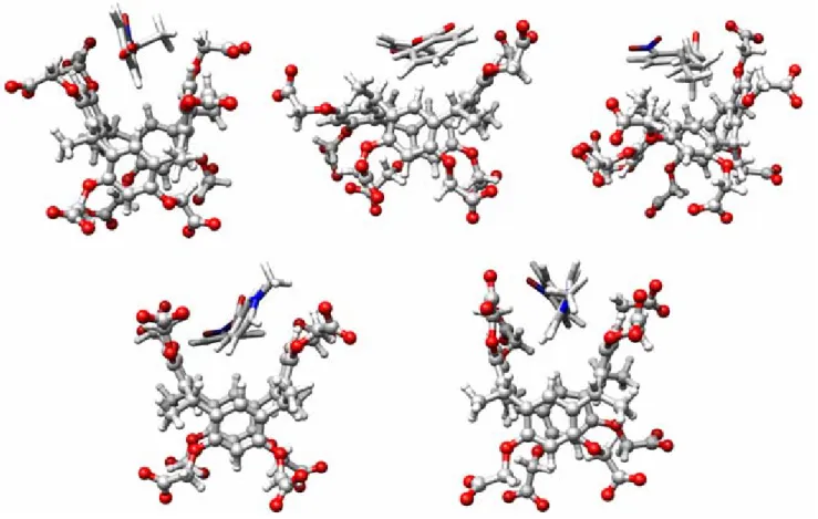 Figure 4.5.7 Graphic representation of the host 1 and its complexes with the guests (2-6) obtained by MD calculation