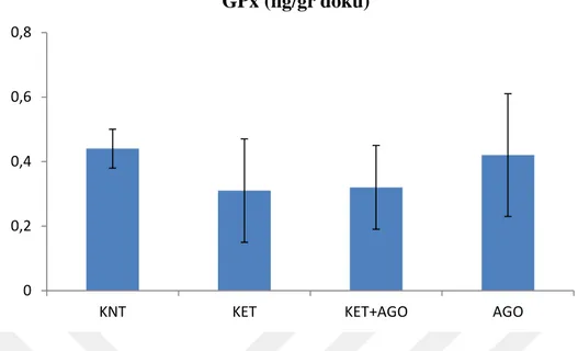 Şekil 11. Deneklerin beyin doku örneklerinden elde edilen GPx değerleri. (n=8) 