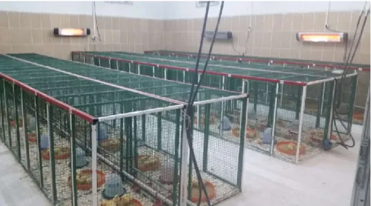 Şekil 3.1. Deneme ünitesinden bir görünüm 