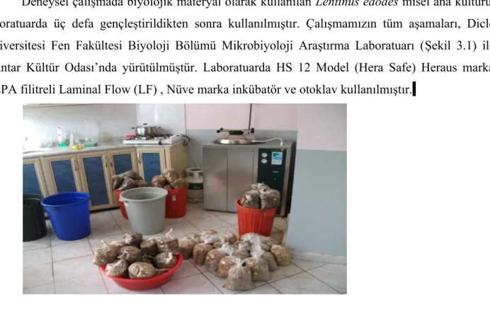 Şekil 3.1. Laboratuardan bir görünüm 3.2.Metod