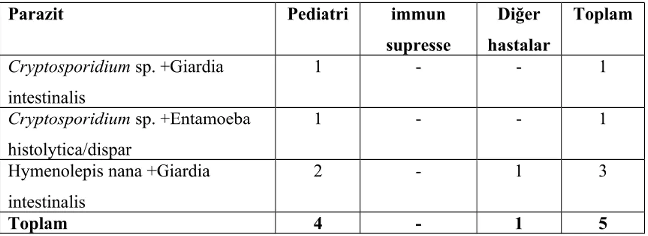 Tablo 13: Birden fazla parazitin saptandığı hasta grubu ve parazitler Parazit Pediatri immun