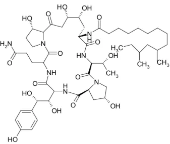 Şekil 2.11. Amino-silika türevi dolgu maddelerinin farklı yollardan sentezinin şematik gösterimi 