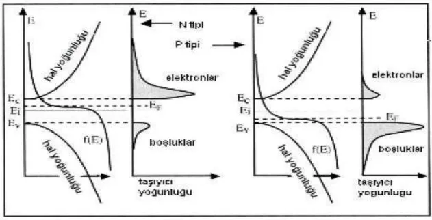 Şekil 3.4. p ve n tipi yarıiletkenlerde elektron, boşluk konsantrasyonu ve Fermi seviyesi (Nian 2009) 