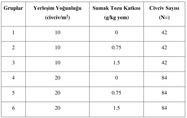 Çizelge 3.3. Deneme Deseni 