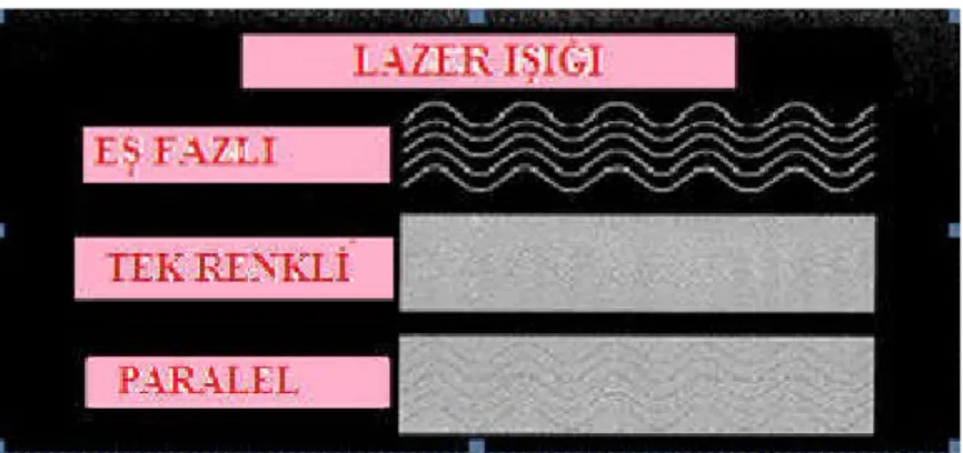 Şekil 3: Lazer ışığının özellikleri 