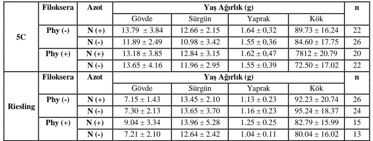 Çizelge 4.15. Denemenin sonunda filoksera zararl  ve azot uygulamalar na göre ya  gövde, sürgün,                         yaprak ve kök a rl  ortalamalar  (Ortalama± standart hata) (g) 