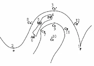 Şekil 3. TME Manyetik Rezonans görüntüsü üzerinde tespit edilen noktalar 7. Ca: Cs’ noktasından, kondilin ön kenarına çizilen teğetin, kondilin ön yüzeyi üzerinde oluşturduğu nokta.