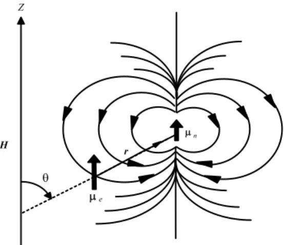 Şekil 2.7. Elektronun spini ile çekirdek spini arasında meydana gelen dipolar  etkileşme