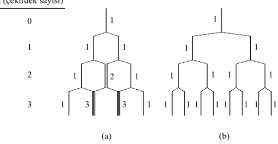 Şekil 2.8. Çekirdek spinleri I=1/2 olan çekirdekler için n=3 değerine kadar,   a)  özdeş çekirdekler, 