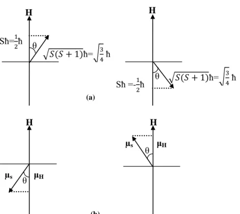 Şekil 1.7a) ve b) Elektron spin açısal momentumu ve manyetik momentin H  manyetik alandaki yönelimleri (Köksal ve ark
