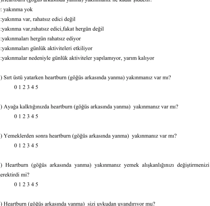 Tablo 3.1.1.GÖR Anket Formu