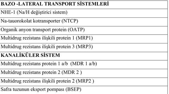 Tablo 4. Safra ve safra asidi taşıyıcı proteinler