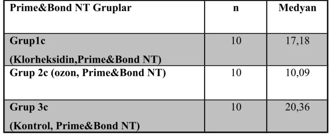 Tablo   10:  Prime&amp;Bond   NT   adeziv   uygulanan   gruplarının   makaslama   bağlanma dayanım testlerine ait medyan değerleri