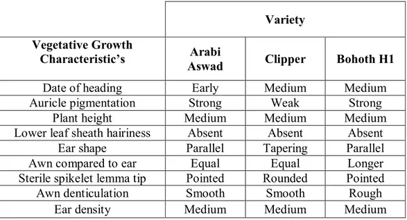 Table  3.1.1.  Clasification  of  barley  varaieties  acording  to  some  morphological  characteristics of the plant during vegetative growth