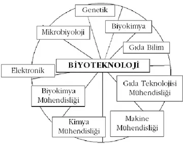 Şekil 2.1. Biyoteknolojinin kapsadığı alanlar 